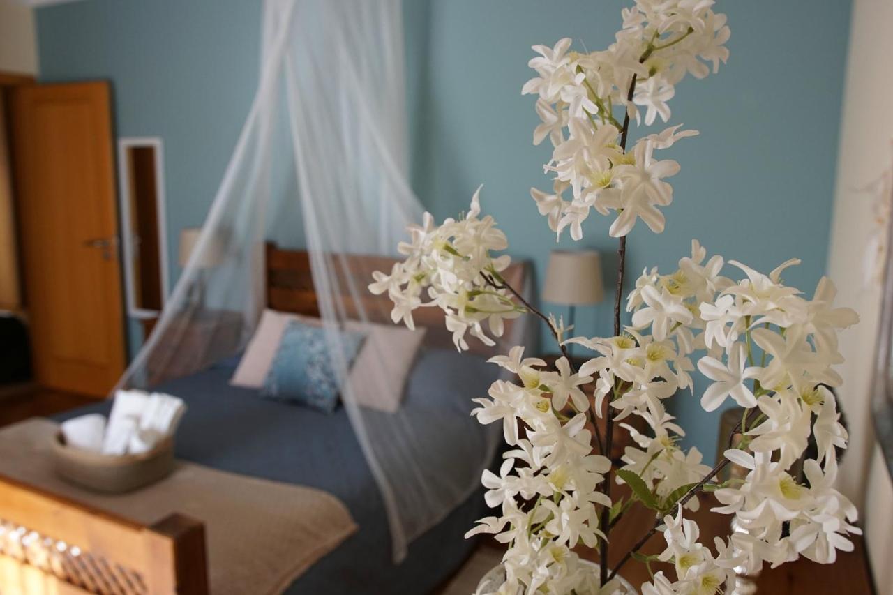 Monte Pedras Holiday home Abrantes