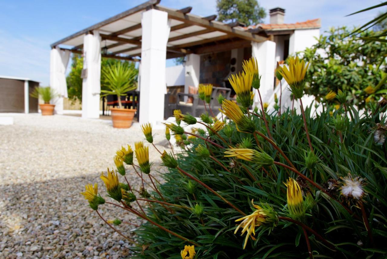 Holiday home Monte Pedras